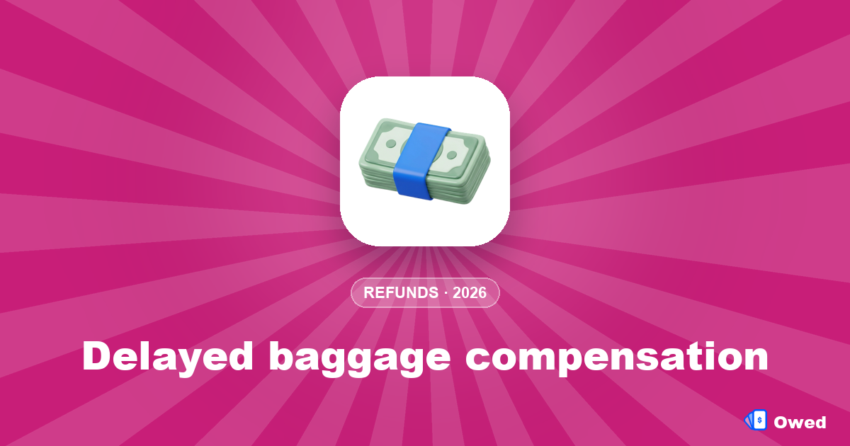 Delayed baggage compensation: how much airlines must pay